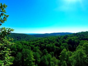 Peisaj românesc curat cu natură verde vibrantă.